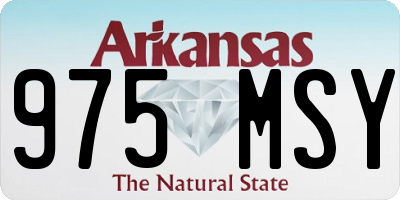 AR license plate 975MSY