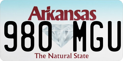 AR license plate 980MGU