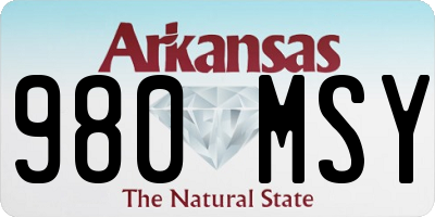 AR license plate 980MSY