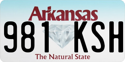 AR license plate 981KSH