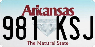 AR license plate 981KSJ