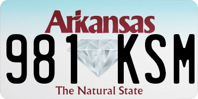 AR license plate 981KSM