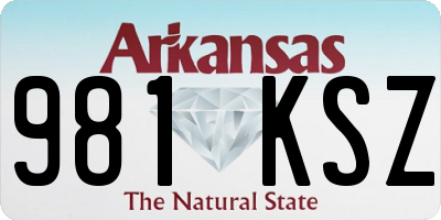 AR license plate 981KSZ