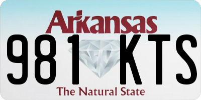 AR license plate 981KTS
