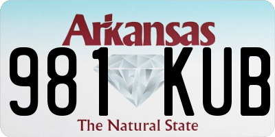 AR license plate 981KUB