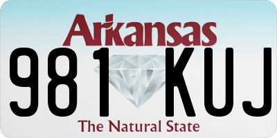 AR license plate 981KUJ
