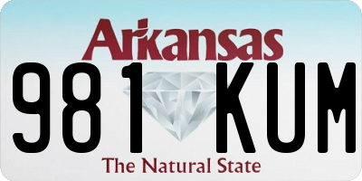 AR license plate 981KUM
