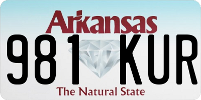 AR license plate 981KUR
