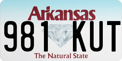 AR license plate 981KUT