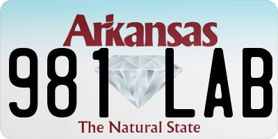 AR license plate 981LAB