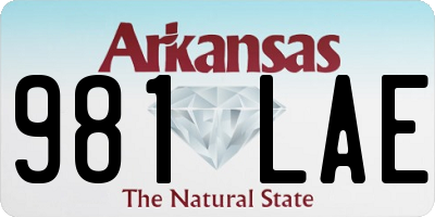 AR license plate 981LAE