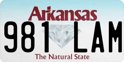 AR license plate 981LAM