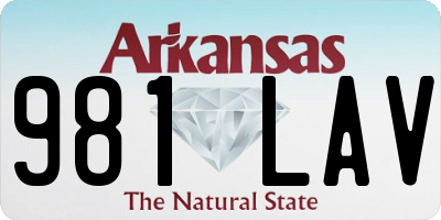 AR license plate 981LAV