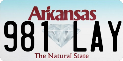 AR license plate 981LAY