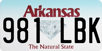 AR license plate 981LBK