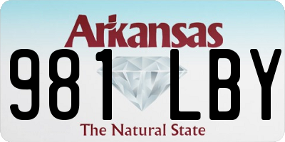 AR license plate 981LBY