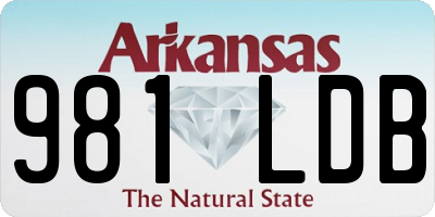 AR license plate 981LDB