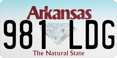 AR license plate 981LDG