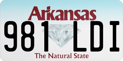 AR license plate 981LDI