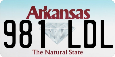 AR license plate 981LDL
