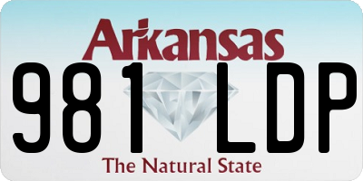 AR license plate 981LDP