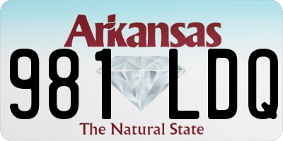 AR license plate 981LDQ