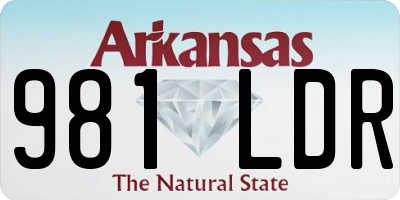 AR license plate 981LDR