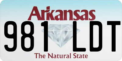 AR license plate 981LDT