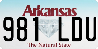 AR license plate 981LDU