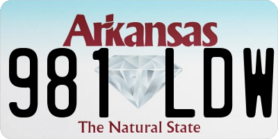 AR license plate 981LDW
