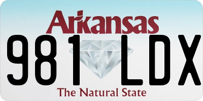 AR license plate 981LDX