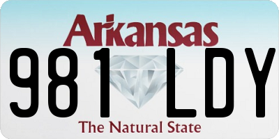 AR license plate 981LDY