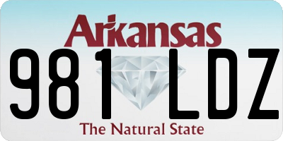 AR license plate 981LDZ