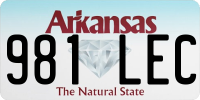AR license plate 981LEC