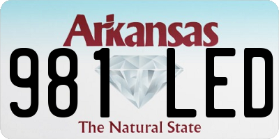 AR license plate 981LED