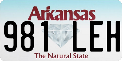 AR license plate 981LEH