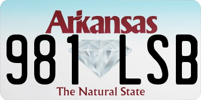 AR license plate 981LSB
