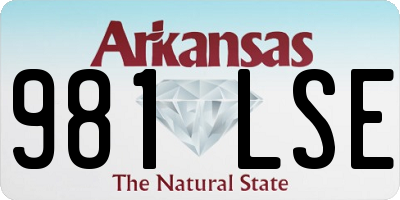 AR license plate 981LSE