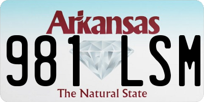 AR license plate 981LSM