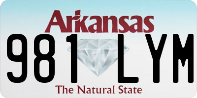AR license plate 981LYM