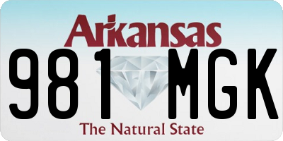 AR license plate 981MGK
