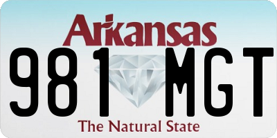 AR license plate 981MGT