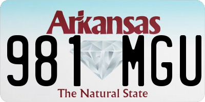 AR license plate 981MGU