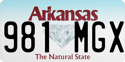 AR license plate 981MGX