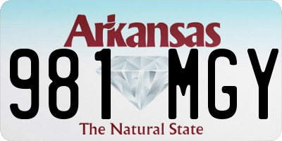 AR license plate 981MGY