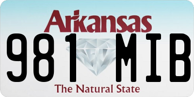 AR license plate 981MIB