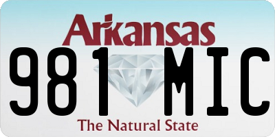 AR license plate 981MIC