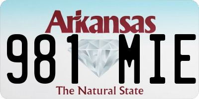 AR license plate 981MIE
