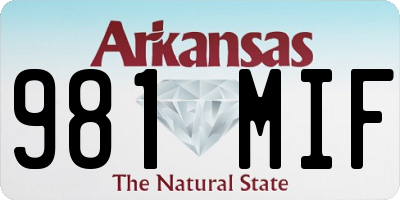 AR license plate 981MIF