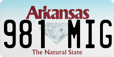 AR license plate 981MIG